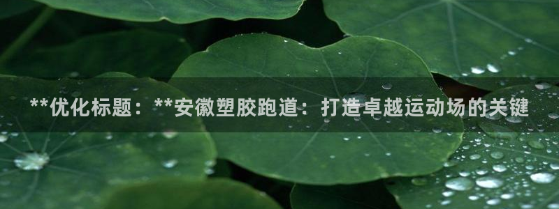 红足一1世官网：**优化标题：**安徽塑胶跑道：打造卓越运动场的关键