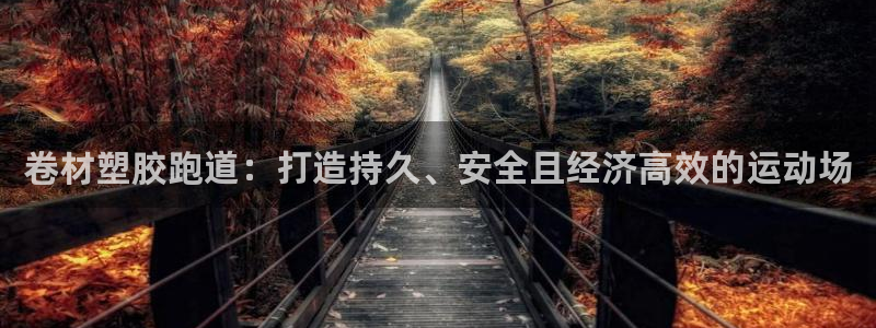 红足一1世66814：卷材塑胶跑道：打造持久、安全且经济高效的运动场