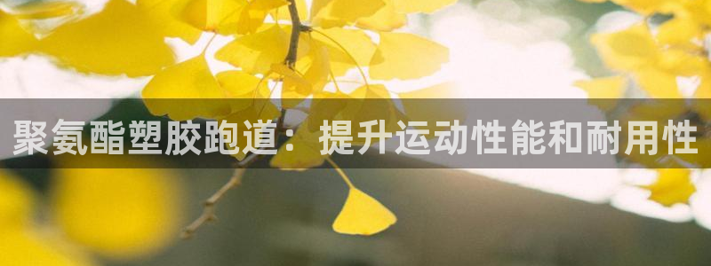 红足一1世平台：聚氨酯塑胶跑道：提升运动性能和耐用性