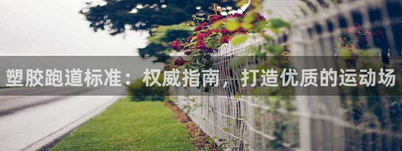 4633333开奖结果4176一点红：塑胶跑道标准：权威指南，打造优质的运动场