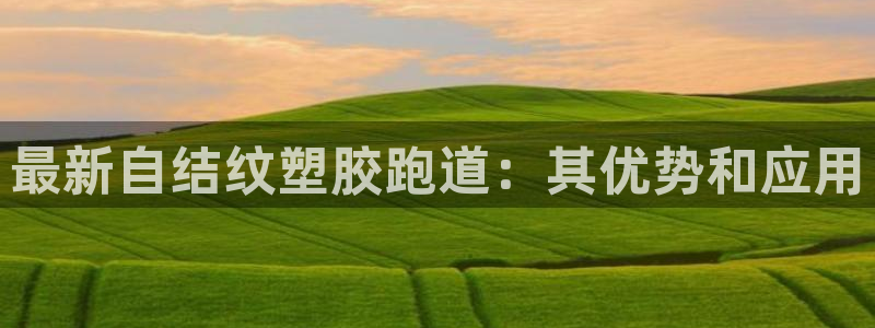 红足一1世：最新自结纹塑胶跑道：其优势和应用
