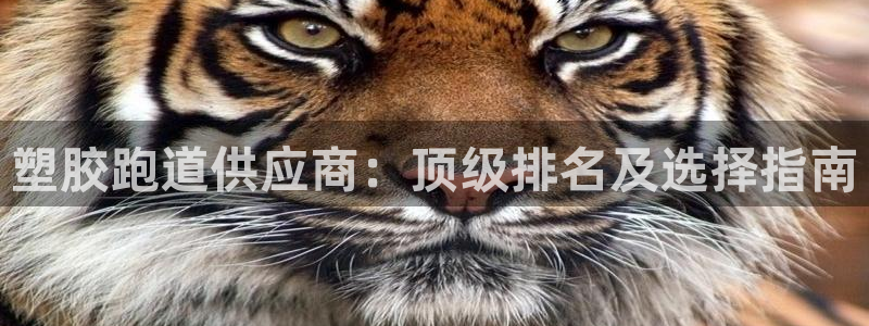 红足1世1站2站管理网：塑胶跑道供应商：顶级排名及选择指南