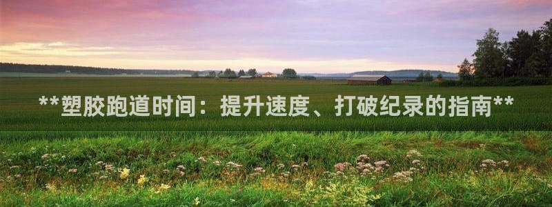 红足一1世官网足球推荐真人：**塑胶跑道时间：提升速度、打破纪录的指南**
