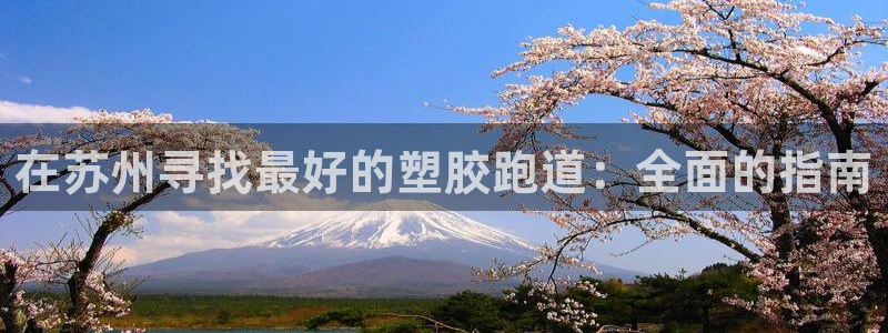 红足1世足球网址大全：在苏州寻找最好的塑胶跑道：全面的指南