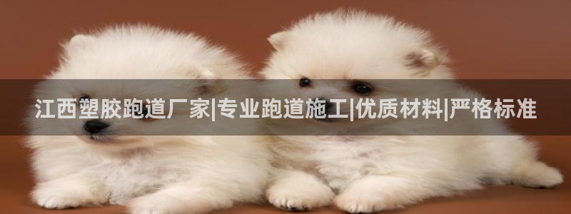 红足一1世比分球探：江西塑胶跑道厂家|专业跑道施工|优质材料|严格标准