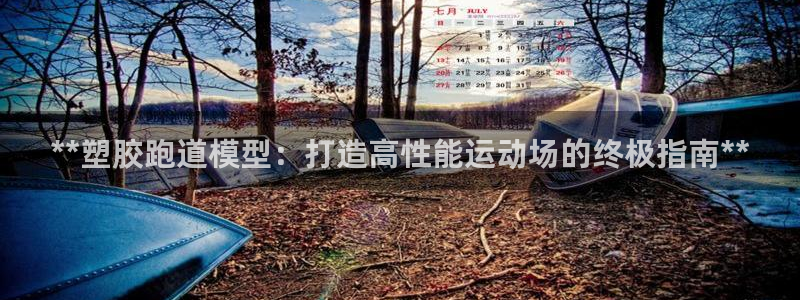 百度红足一1是为什么：**塑胶跑道模型：打造高性能运动场的终极指南**