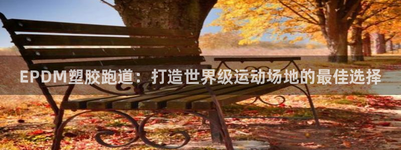 红足一1世官网：EPDM塑胶跑道：打造世界级运动场地的最佳选择