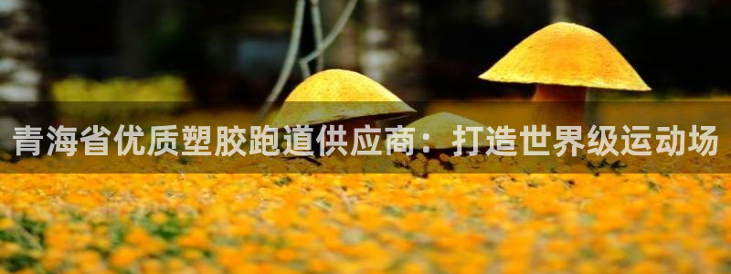 红足一一世：青海省优质塑胶跑道供应商：打造世界级运动场
