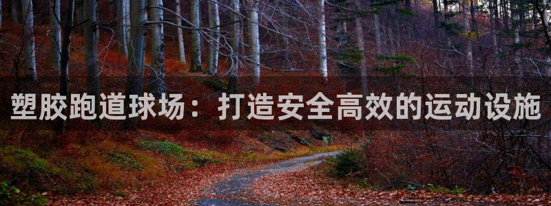 百度红足一1世：塑胶跑道球场：打造安全高效的运动设施