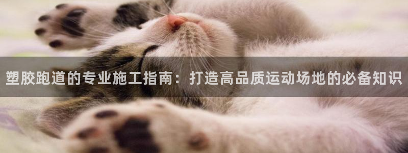 红足一1世66814：塑胶跑道的专业施工指南：打造高品质运动场地的必备知识