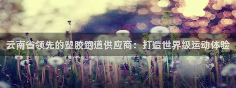 红足1世手机板：云南省领先的塑胶跑道供应商：打造世界级运动体验