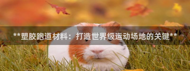 红足一比分网：**塑胶跑道材料：打造世界级运动场地的关键**