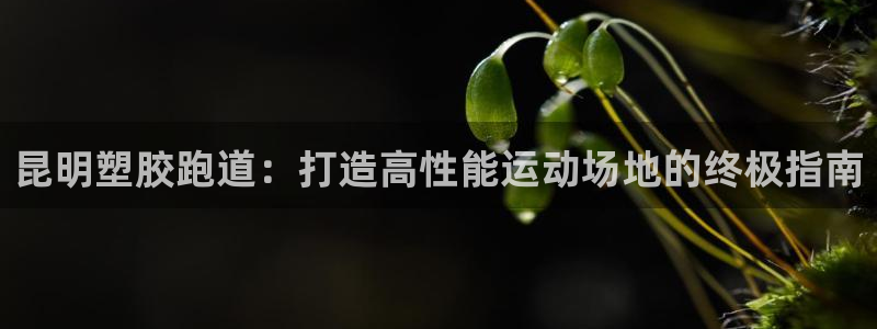 红足足球网：昆明塑胶跑道：打造高性能运动场地的终极指南