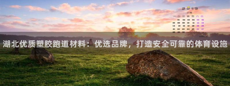 红足1世手机版下载：湖北优质塑胶跑道材料：优选品牌，打造安全可靠的体育设施