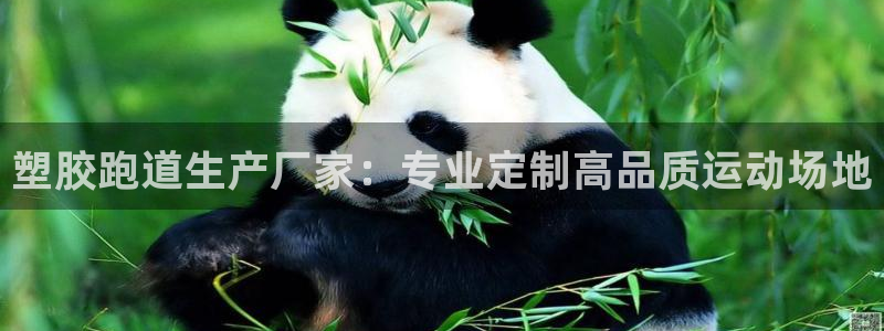 红足一1世666814足球比分网：塑胶跑道生产厂家：专业定制高品质运动场地