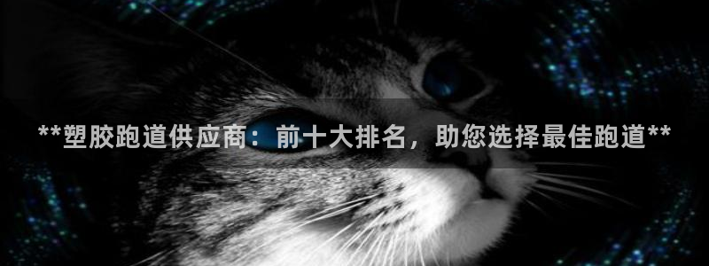 红足1一世：**塑胶跑道供应商：前十大排名，助您选择最佳跑道**