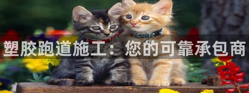 红足一比分网：塑胶跑道施工：您的可靠承包商