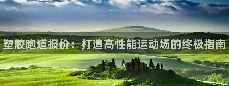 百度红足一1是干什么的：塑胶跑道报价：打造高性能运动场的终极指南