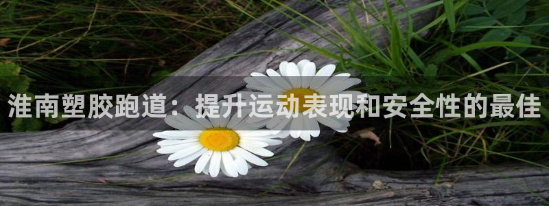 红足1世手机下载：淮南塑胶跑道：提升运动表现和安全性的最佳
