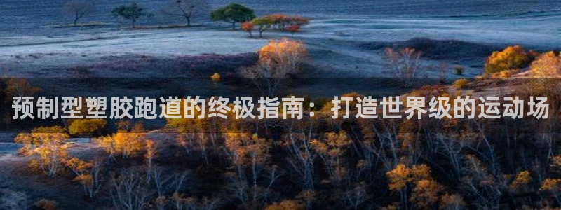 红足网足球直播：预制型塑胶跑道的终极指南：打造世界级的运动场