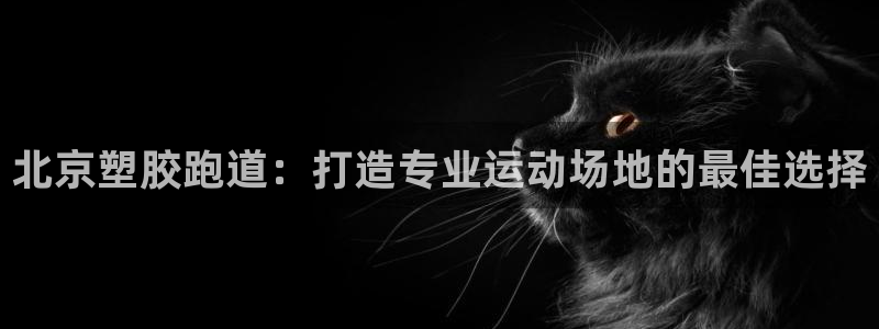 红足1一世 2站：北京塑胶跑道：打造专业运动场地的最佳选择