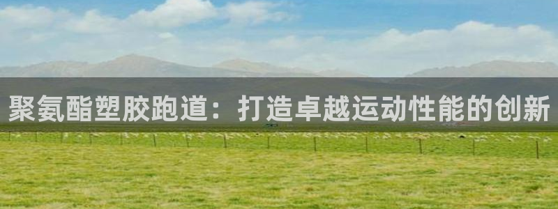 红足一一世：聚氨酯塑胶跑道：打造卓越运动性能的创新