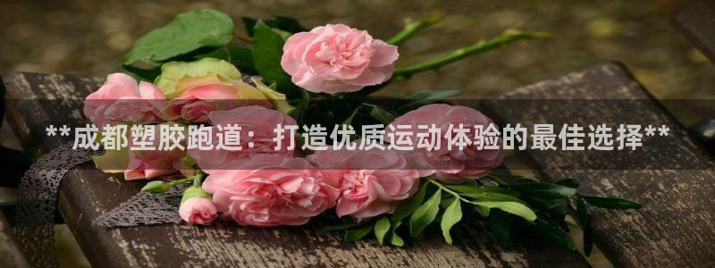 红足一1世手机版赛果：**成都塑胶跑道：打造优质运动体验的最佳选择**