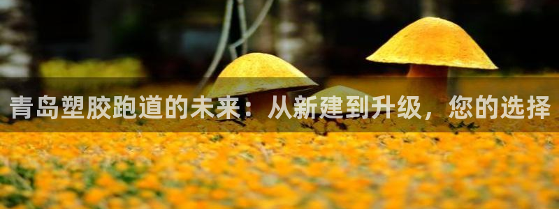 红足1一世红：青岛塑胶跑道的未来：从新建到升级，您的选择