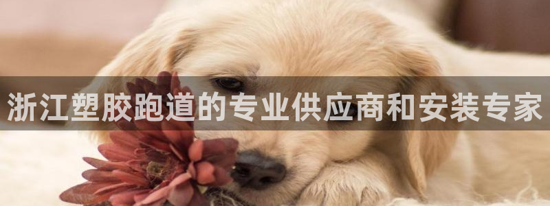 红足一丰：浙江塑胶跑道的专业供应商和安装专家