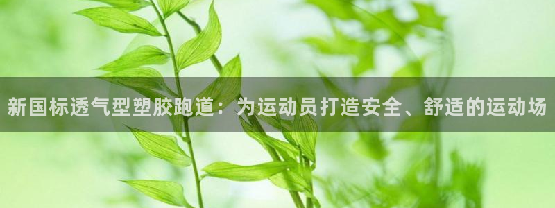 66814红足：新国标透气型塑胶跑道：为运动员打造安全、舒适的运动场