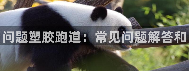 红足一1世官网比分：问题塑胶跑道：常见问题解答和