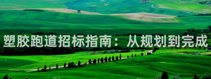 红足1世足球比分预测：塑胶跑道招标指南：从规划到完成