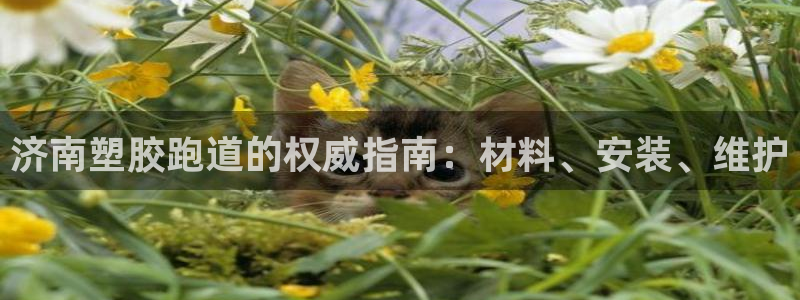红足一比分网：济南塑胶跑道的权威指南：材料、安装、维护