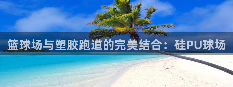 红足1世足球比分网址：篮球场与塑胶跑道的完美结合：硅PU球场