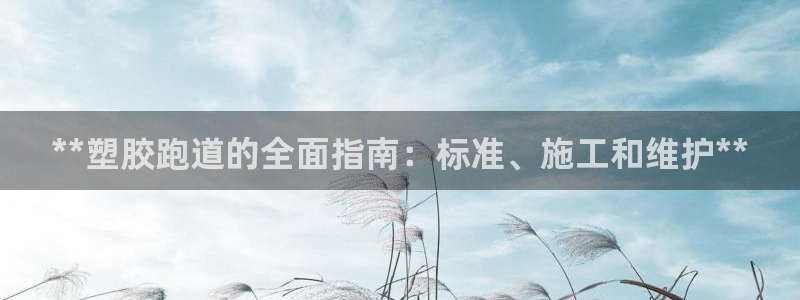红足1一世红：**塑胶跑道的全面指南：标准、施工和维护**