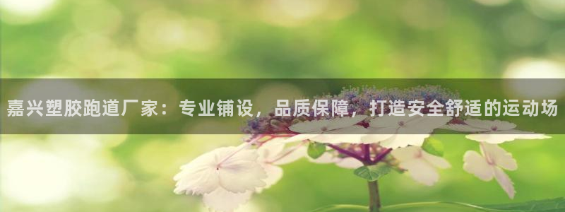 红足一1世：嘉兴塑胶跑道厂家：专业铺设，品质保障，打造安全舒适的运动场