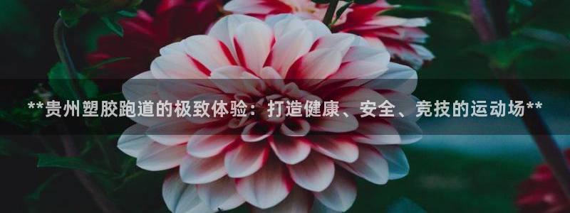 红足一1世666814最新结果：**贵州塑胶跑道的极致体验：打造健康、安全、竞技的运动场**