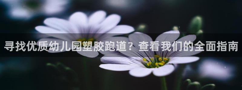 红足一1世皇冠登录：寻找优质幼儿园塑胶跑道？查看我们的全面指南
