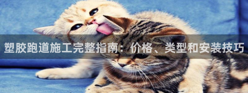红足一1世比分网：塑胶跑道施工完整指南：价格、类型和安装技巧