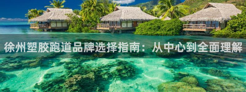 百度红足一1是为什么：徐州塑胶跑道品牌选择指南：从中心到全面理解