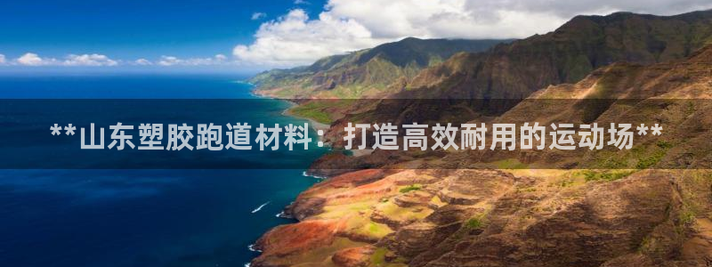 红足1世手足球比分：**山东塑胶跑道材料：打造高效耐用的运动场**