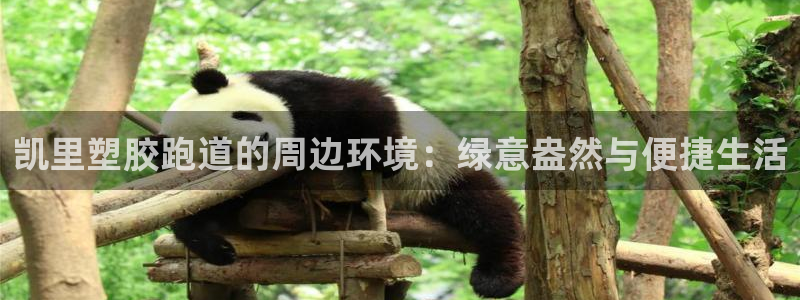 红足体育网