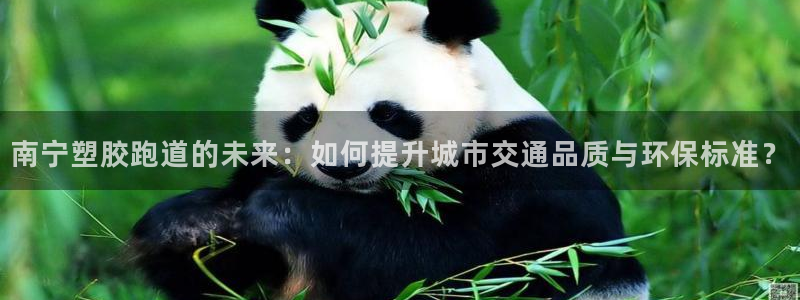 红足1世足球比分 localhost：南宁塑胶跑道的未来：如何提升城市交通品质与环保标准？