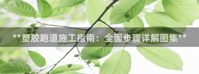 百度红足一1使用说明：**塑胶跑道施工指南：全面步骤详解图集**