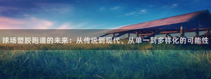 新2足球平台出租网站：球场塑胶跑道的未来：从传统到现代、从单一到多样化的可能性