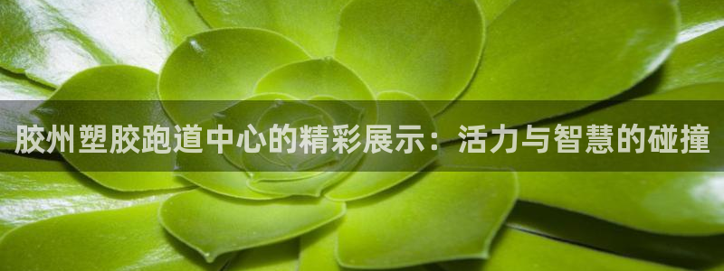 红足一1世手机皇冠：胶州塑胶跑道中心的精彩展示：活力与智慧的碰撞