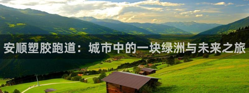百度红足一1是干什么的：安顺塑胶跑道：城市中的一块绿洲与未来之旅