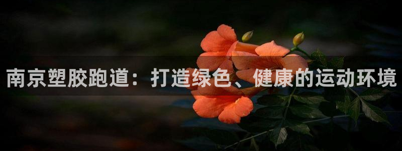 红足1世足球网址大全：南京塑胶跑道：打造绿色、健康的运动环境