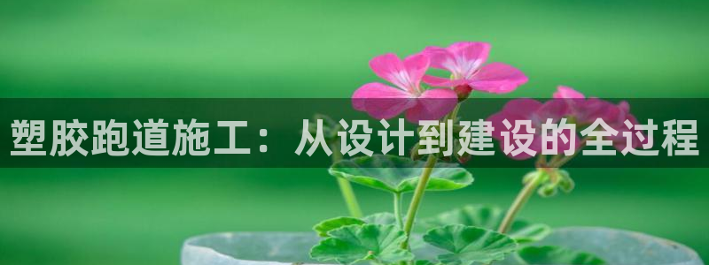666814红·足一世比分：塑胶跑道施工：从设计到建设的全过程