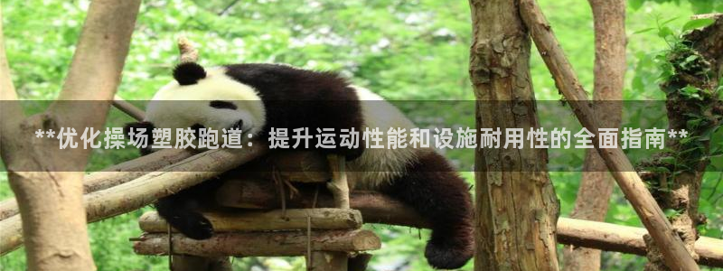 红足一1世比分：**优化操场塑胶跑道：提升运动性能和设施耐用性的全面指南**
